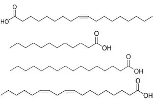 acide linoleique bienfaits