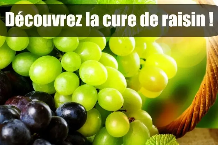 cure de raisin