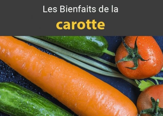 carottes vertus medicinales